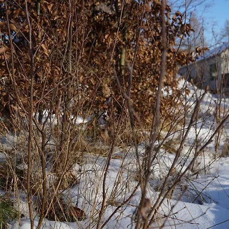 Nature Aparthouse Miedzybrodzie Bialskie