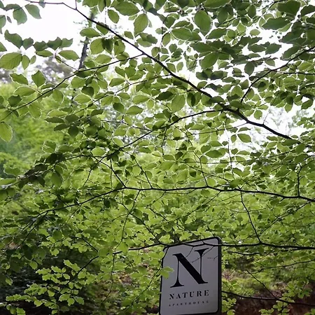 Nature Aparthouse * Miedzybrodzie Bialskie